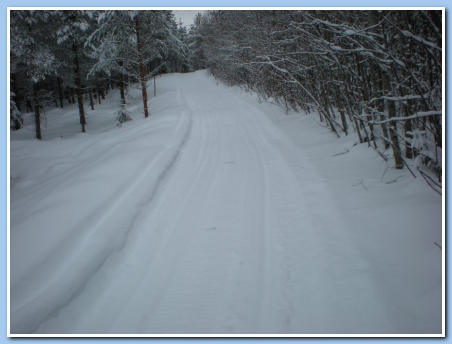 helmikuu2011 015